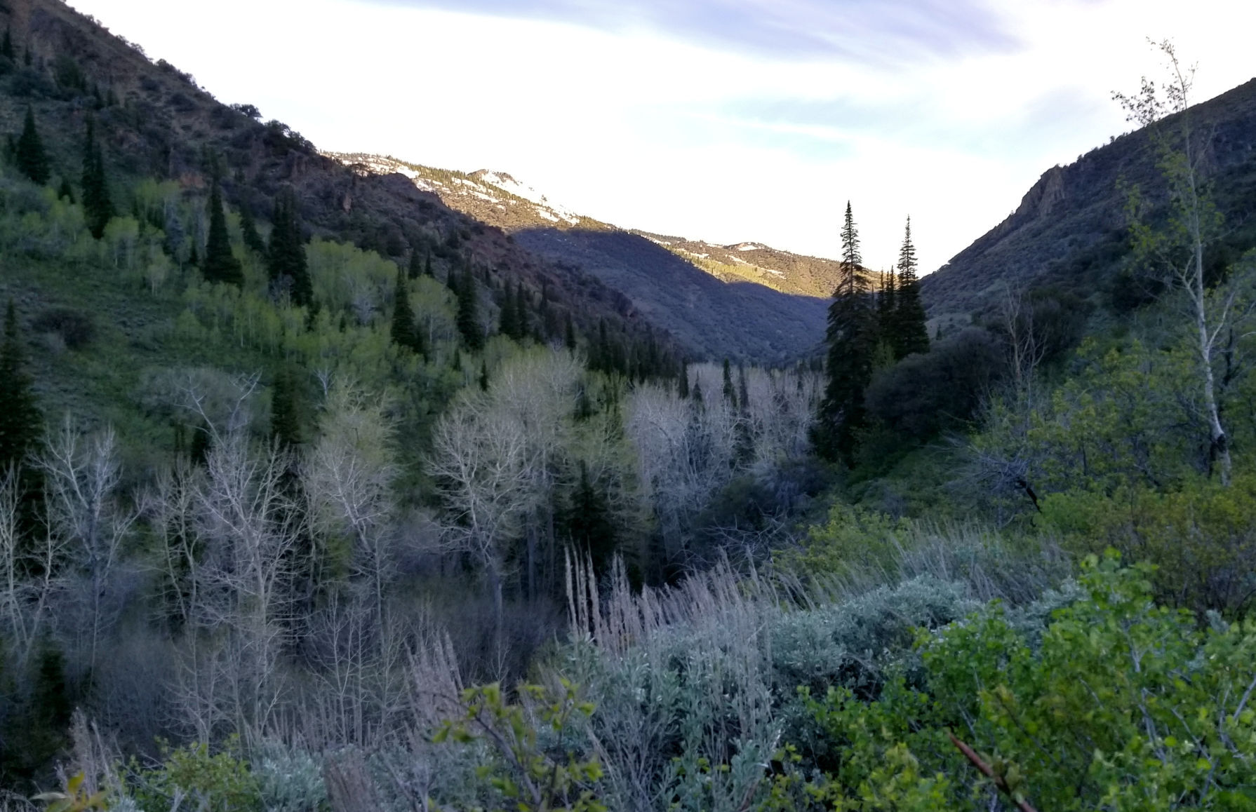 Jarbidge gold exploration